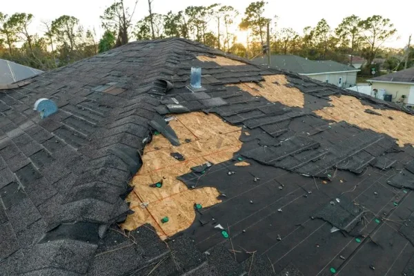 imgi_1_natural-disaster-its-consequences-hurricane-ian-destroyed-house-roof-florida-residential